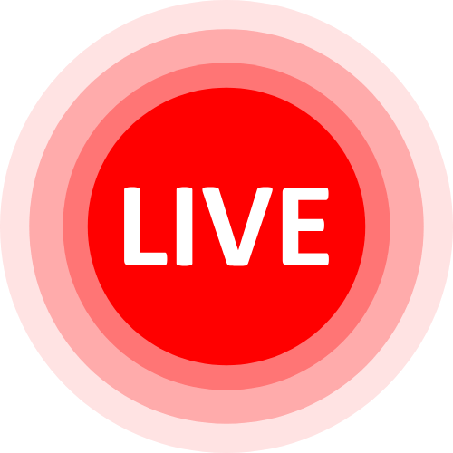 Brionia Webcam